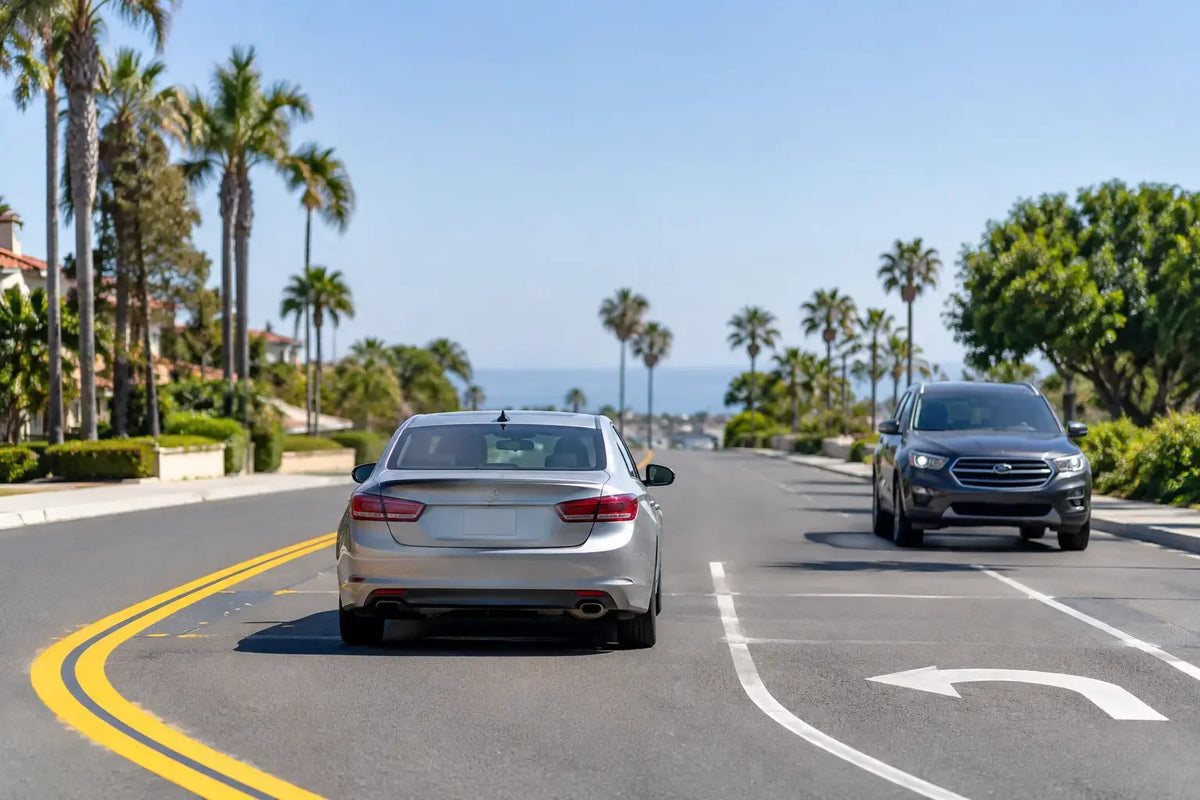 Cars travel along a palm-lined road with turn arrows painted on the pavement.